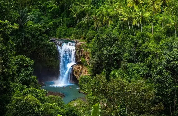 Bali Tour 4 Days